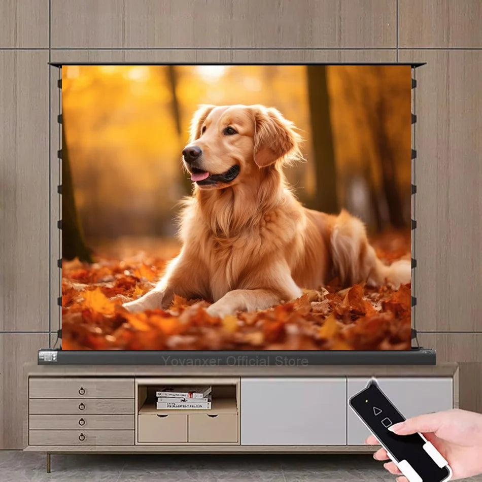 150 Inch Max Electric ALR CLR Rollable Floor Rising Long Throw Projector Screen Grey Crystal Ambient Light Rejecting HD 3D 8K